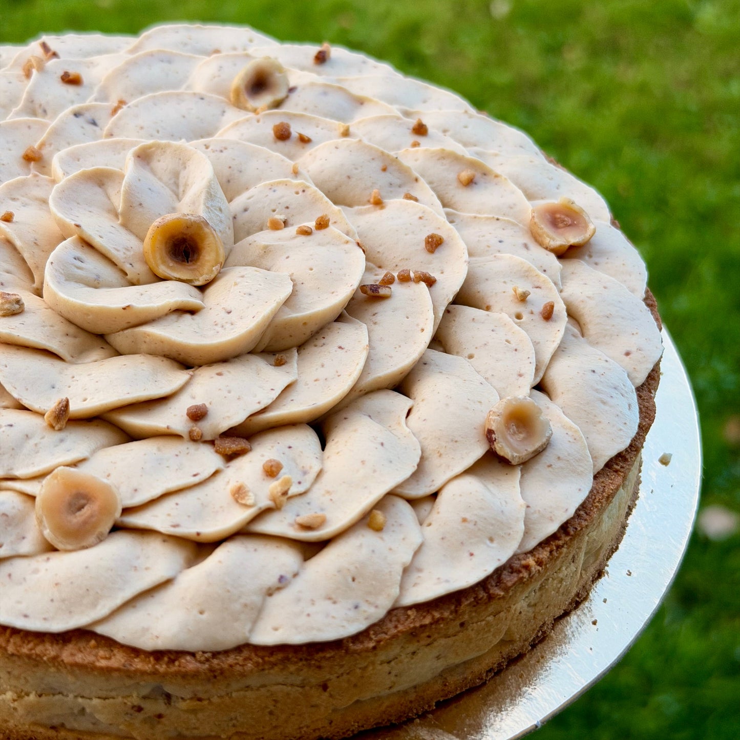 Trate Scrat 100% Noisette